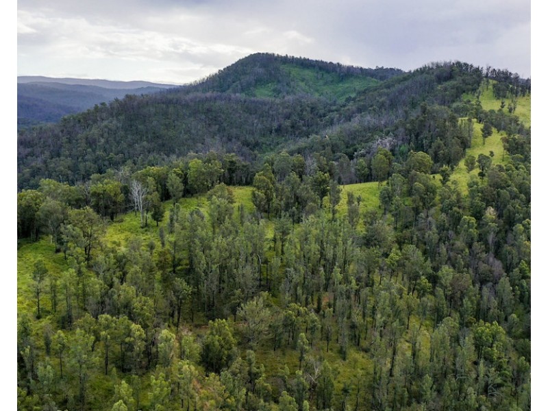 Lot 510 Armidale Road, Nymboida NSW 2460