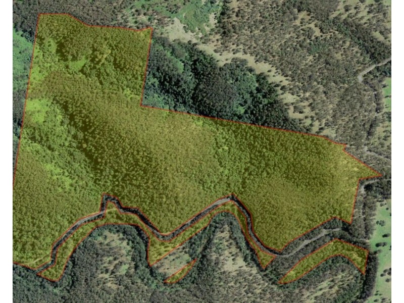 Lot 510 Armidale Road, Nymboida NSW 2460