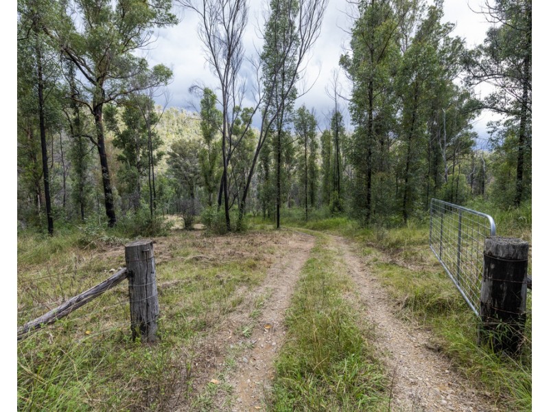 Lot 510 Armidale Road, Nymboida NSW 2460