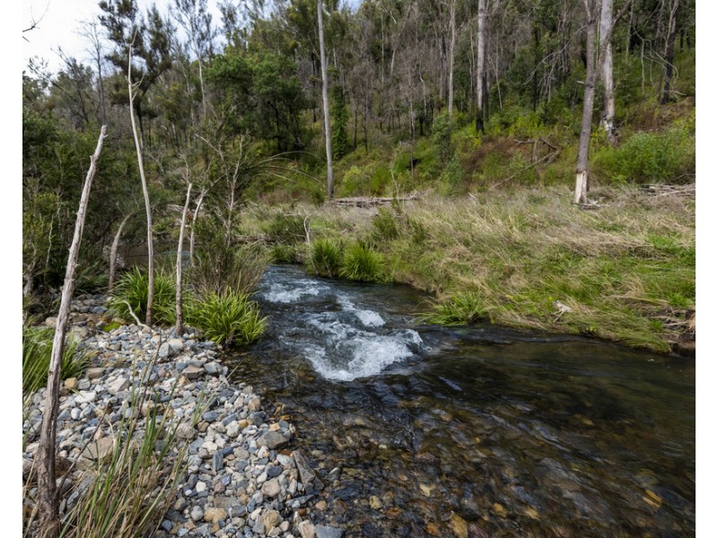 Lot 510 Armidale Road, Nymboida NSW 2460