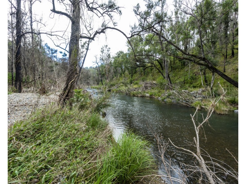 Lot 510 Armidale Road, Nymboida NSW 2460