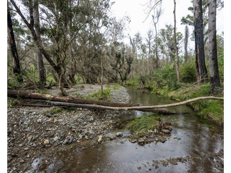 Lot 510 Armidale Road, Nymboida NSW 2460