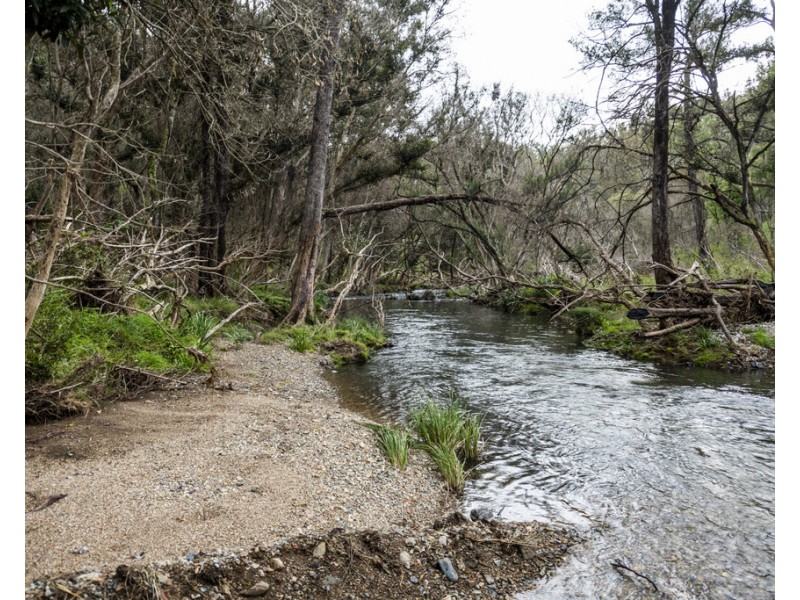 Lot 510 Armidale Road, Nymboida NSW 2460