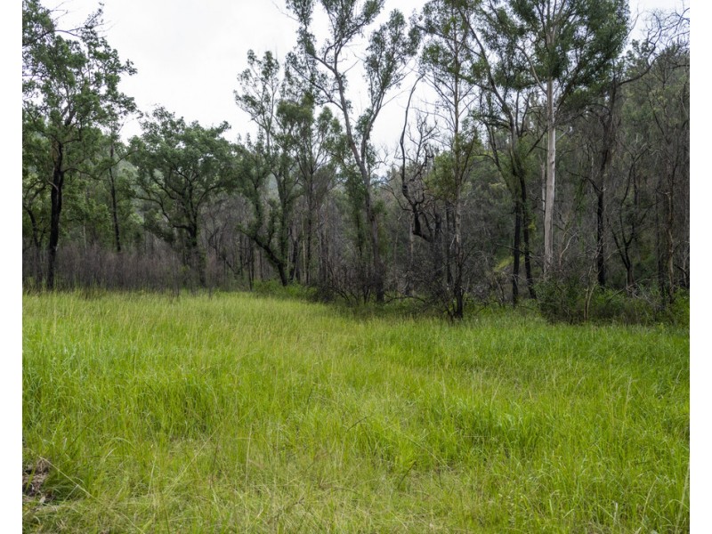 Lot 510 Armidale Road, Nymboida NSW 2460