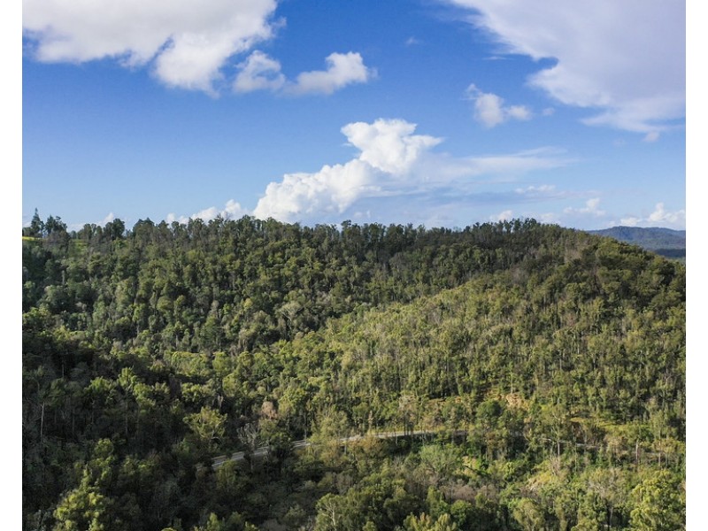 Lot 510 Armidale Road, Nymboida NSW 2460