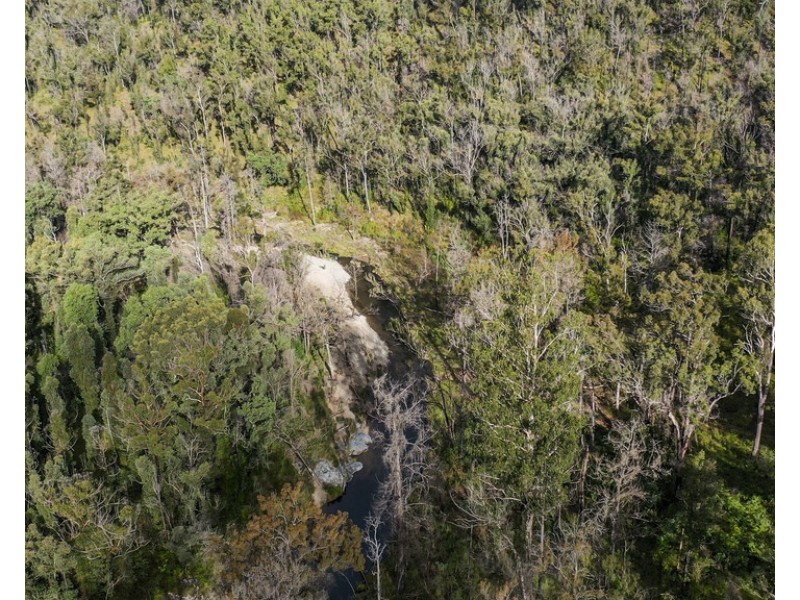 Lot 510 Armidale Road, Nymboida NSW 2460