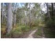 1038 Ellis Forest Road, Dundurrabin NSW 2453