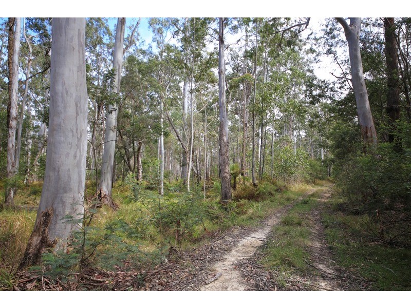 1038 Ellis Forest Road, Dundurrabin NSW 2453