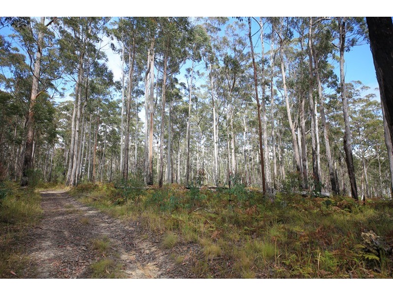 1038 Ellis Forest Road, Dundurrabin NSW 2453