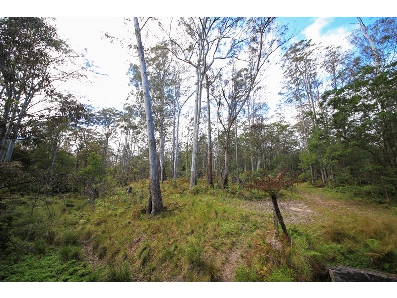 1038 Ellis Forest Road, Dundurrabin NSW 2453