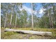 1038 Ellis Forest Road, Dundurrabin NSW 2453