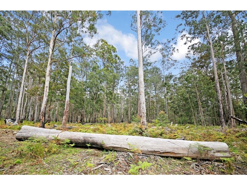 1038 Ellis Forest Road, Dundurrabin NSW 2453