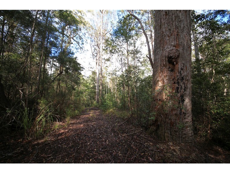 1038 Ellis Forest Road, Dundurrabin NSW 2453