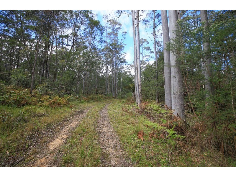 1038 Ellis Forest Road, Dundurrabin NSW 2453