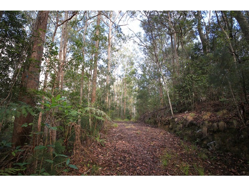 1038 Ellis Forest Road, Dundurrabin NSW 2453