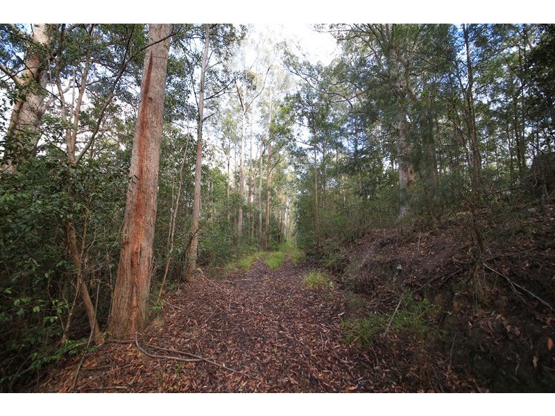 1038 Ellis Forest Road, Dundurrabin NSW 2453