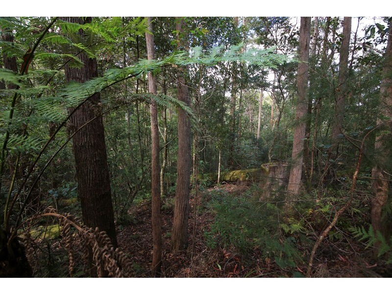 1038 Ellis Forest Road, Dundurrabin NSW 2453