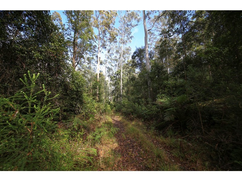 1038 Ellis Forest Road, Dundurrabin NSW 2453