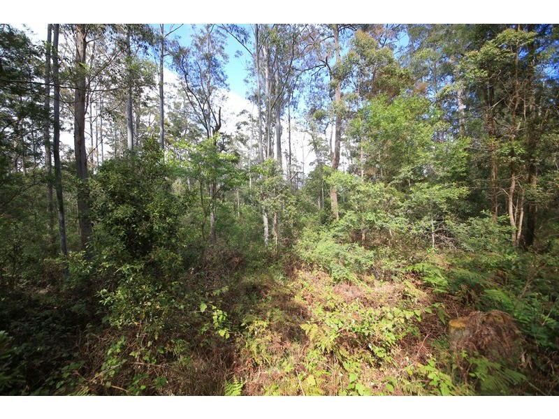 1038 Ellis Forest Road, Dundurrabin NSW 2453