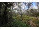 1038 Ellis Forest Road, Dundurrabin NSW 2453