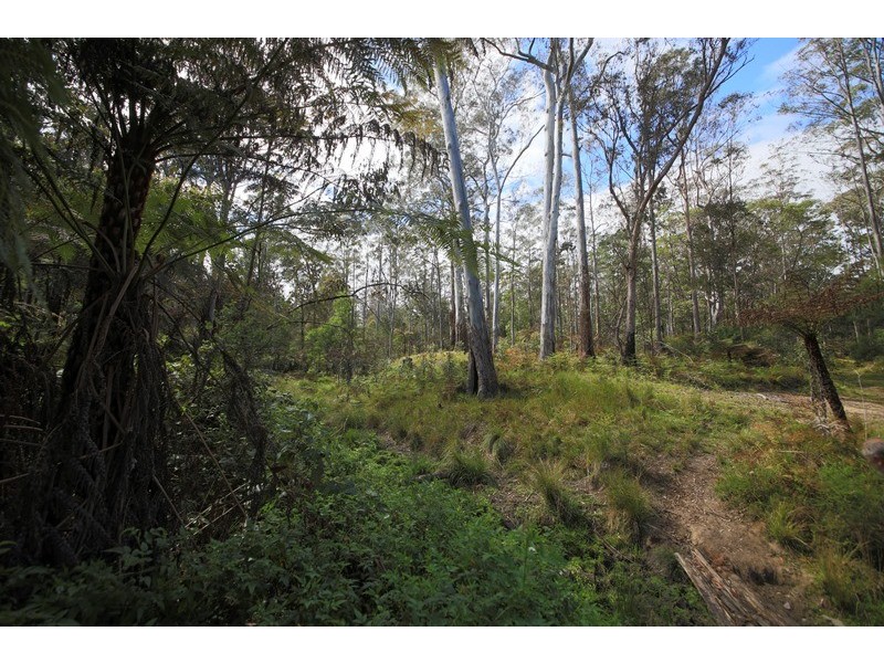 1038 Ellis Forest Road, Dundurrabin NSW 2453