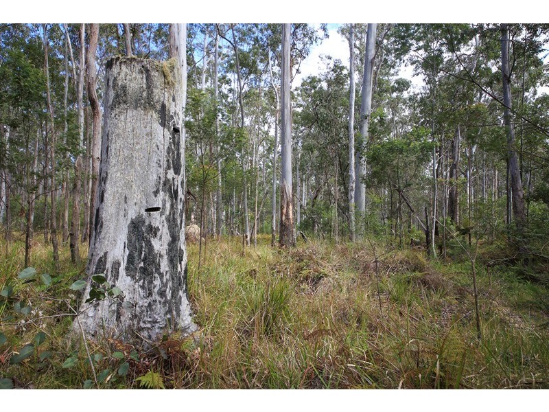 1038 Ellis Forest Road, Dundurrabin NSW 2453