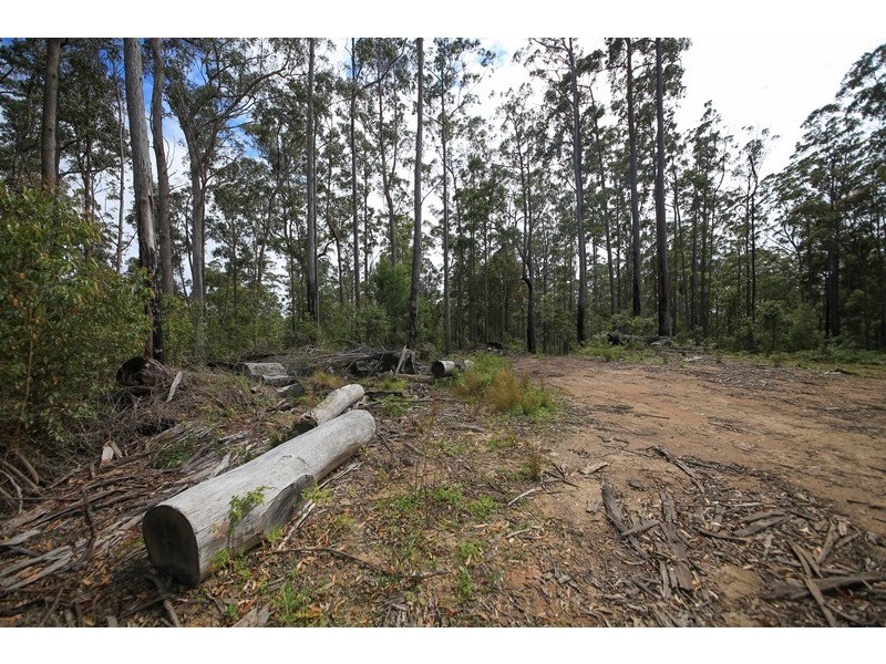 1038 Ellis Forest Road, Dundurrabin NSW 2453