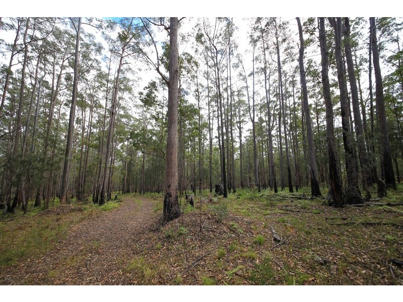 1038 Ellis Forest Road, Dundurrabin NSW 2453