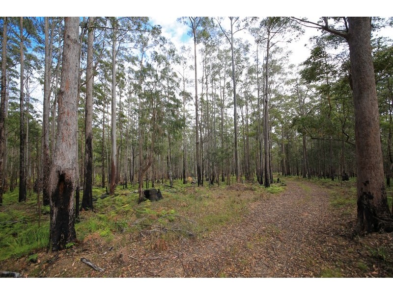 1038 Ellis Forest Road, Dundurrabin NSW 2453