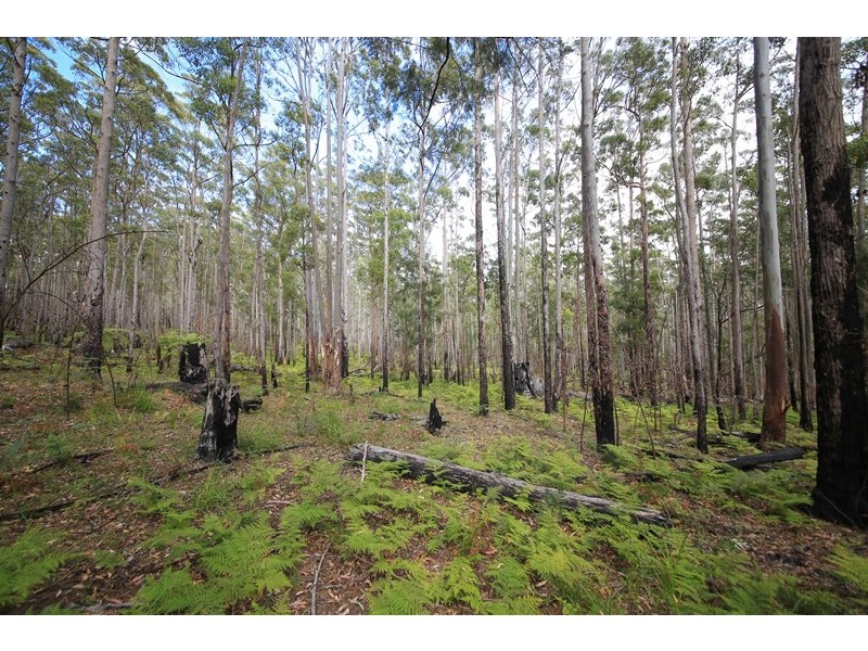 1038 Ellis Forest Road, Dundurrabin NSW 2453