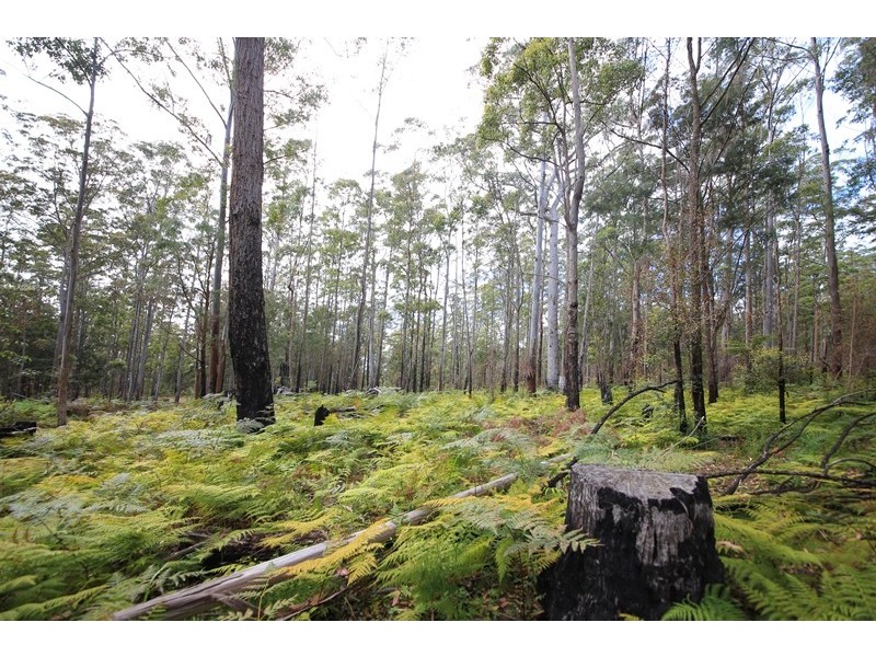 1038 Ellis Forest Road, Dundurrabin NSW 2453