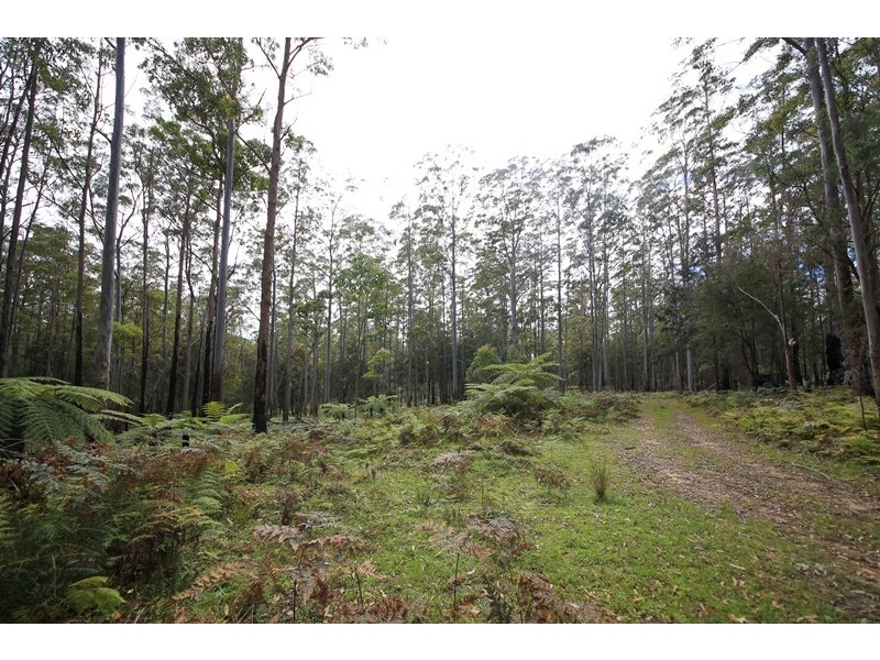 1038 Ellis Forest Road, Dundurrabin NSW 2453