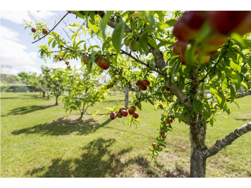 300 Gorge Road, Lilydale NSW 2460