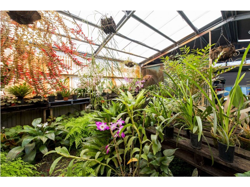 300 Gorge Road, Lilydale NSW 2460