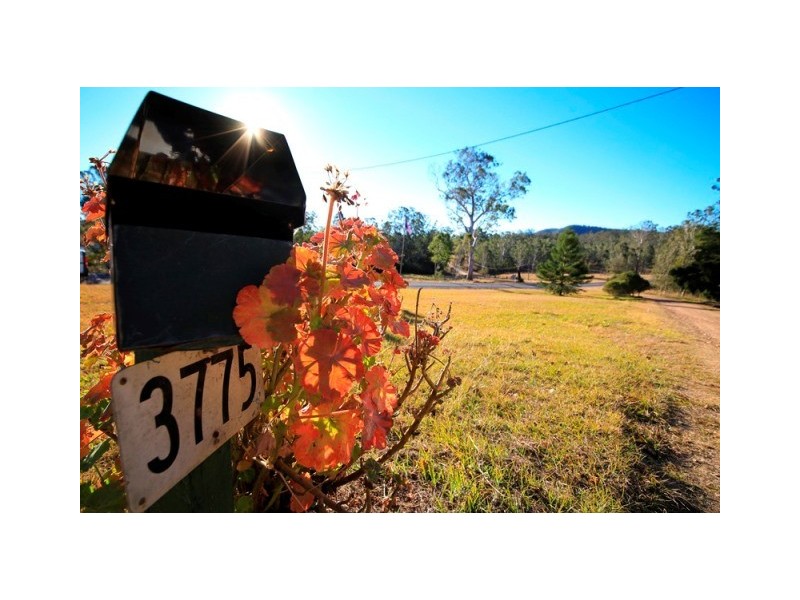 3775 Armidale Road, Nymboida NSW 2460