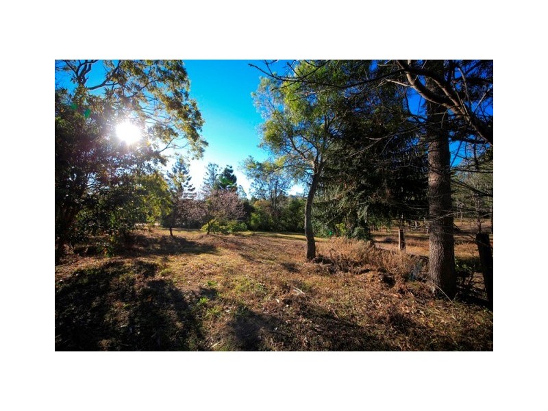 3775 Armidale Road, Nymboida NSW 2460
