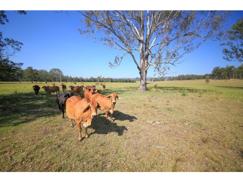 2298 Coaldale Road, Coaldale NSW 2460