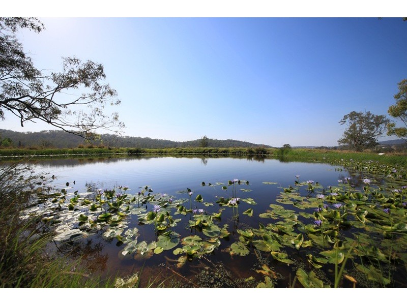2298 Coaldale Road, Coaldale NSW 2460