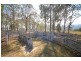 2298 Coaldale Road, Coaldale NSW 2460