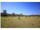 2298 Coaldale Road, Coaldale NSW 2460
