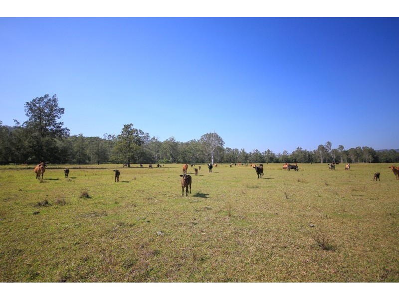 2298 Coaldale Road, Coaldale NSW 2460