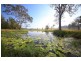 2298 Coaldale Road, Coaldale NSW 2460