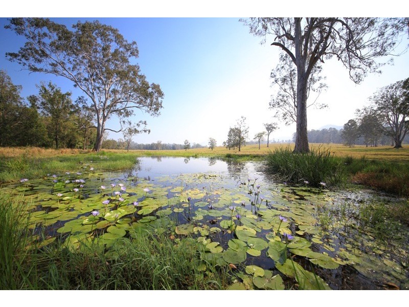 2298 Coaldale Road, Coaldale NSW 2460