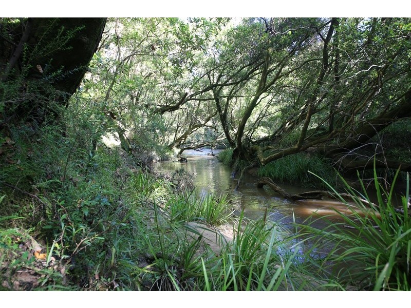 1394 Clarence Way, Whiteman Creek NSW 2460