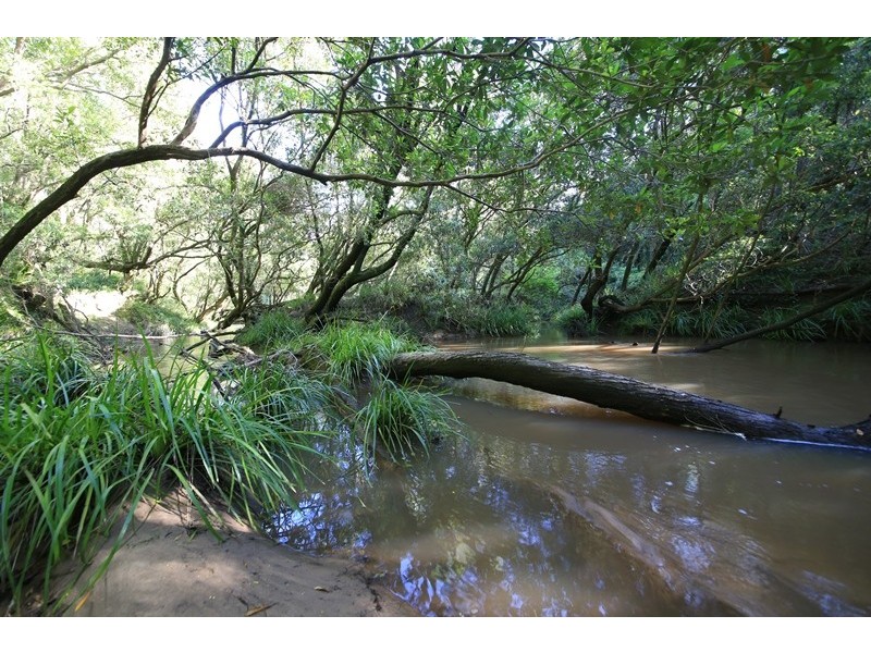 1394 Clarence Way, Whiteman Creek NSW 2460