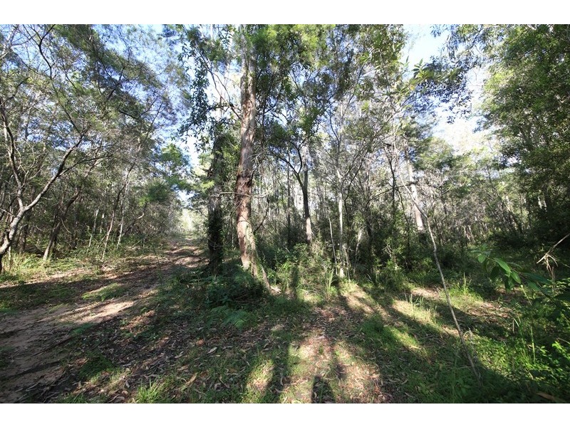 1394 Clarence Way, Whiteman Creek NSW 2460