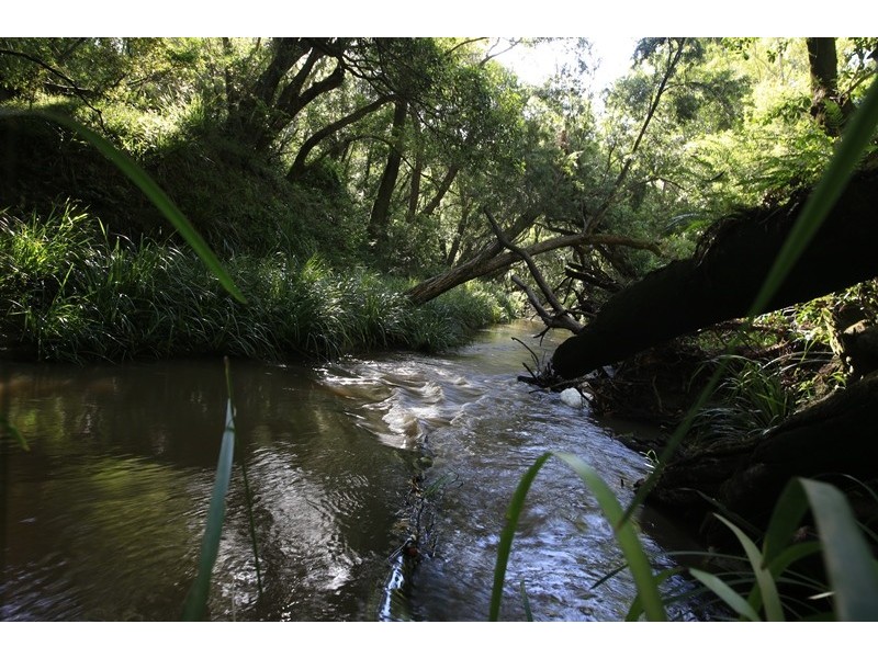 1394 Clarence Way, Whiteman Creek NSW 2460