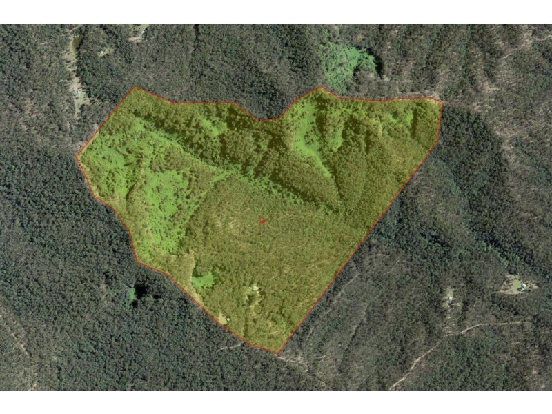 73 Martin Road, Nymboida NSW 2460