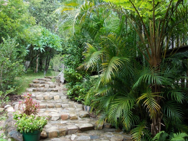73 Martin Road, Nymboida NSW 2460