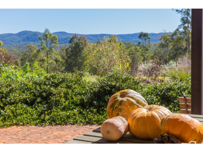 543 Purgatory Creek Road, Lilydale NSW 2460